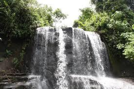Tangkahan, Paradise in North Sumatra
