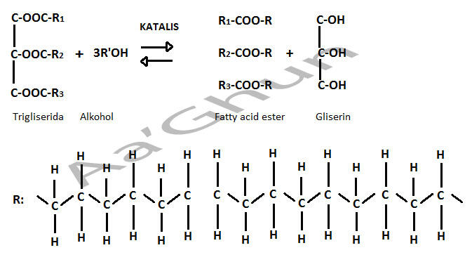 MEMBUAT BIODIESEL DARI MINYAK JELANTAH