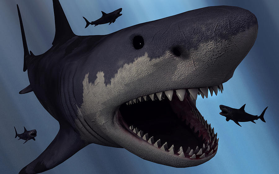 10 FAKTA TENTANG MEGALODON