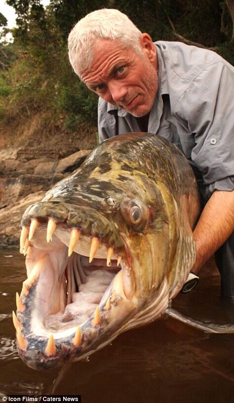 Jeremy Wade, pria yang DOYAN mancing ikan ikan MONSTER !!!