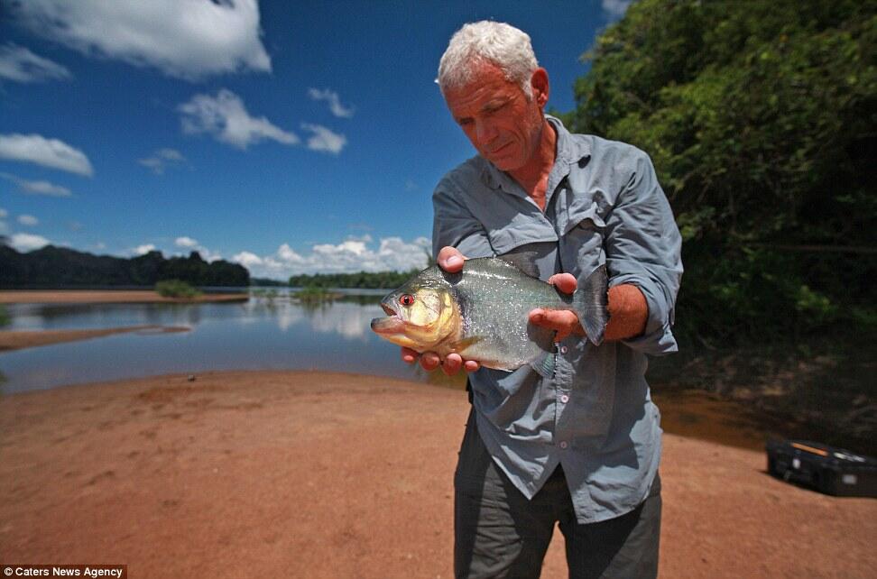 Jeremy Wade, pria yang DOYAN mancing ikan ikan MONSTER !!!