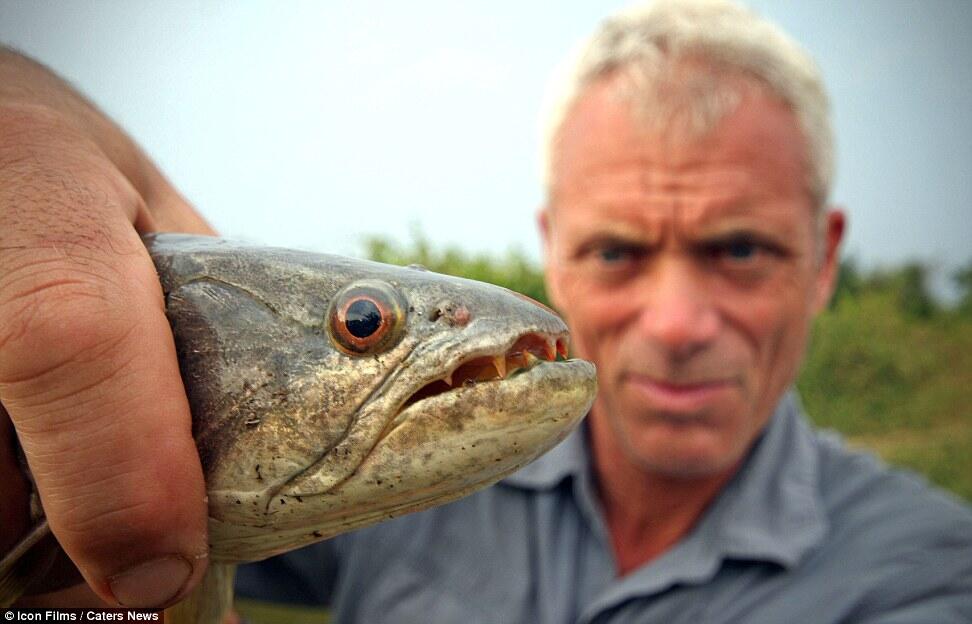 Jeremy Wade, pria yang DOYAN mancing ikan ikan MONSTER !!!