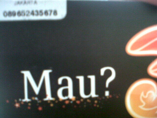 perdana three item,tlp 800 2jam sesama