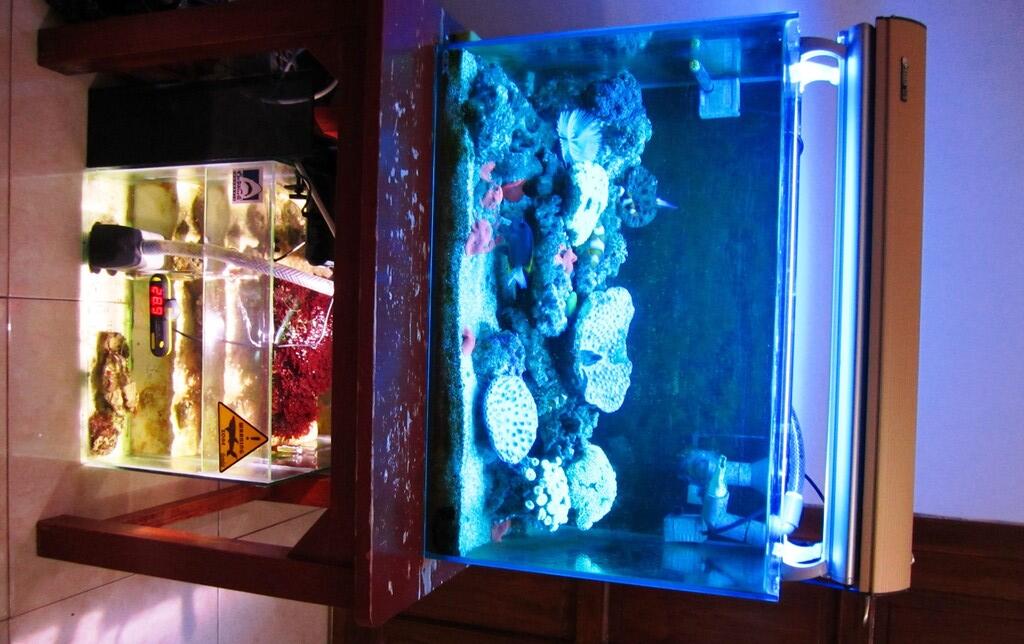 Terjual Jual  Aquarium  air laut komplit murah  KASKUS