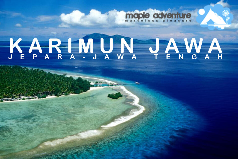 Berenang Dengan Hiu di Karimunjawa