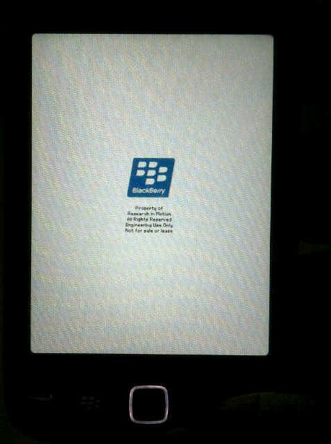 Blackberry orlando 9380