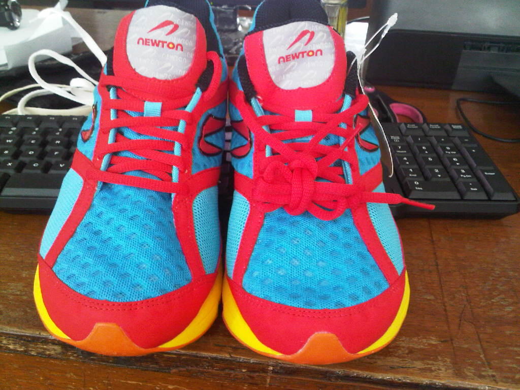 WTS SEPATU MURAH ORIGINAL NEWTON SHOES