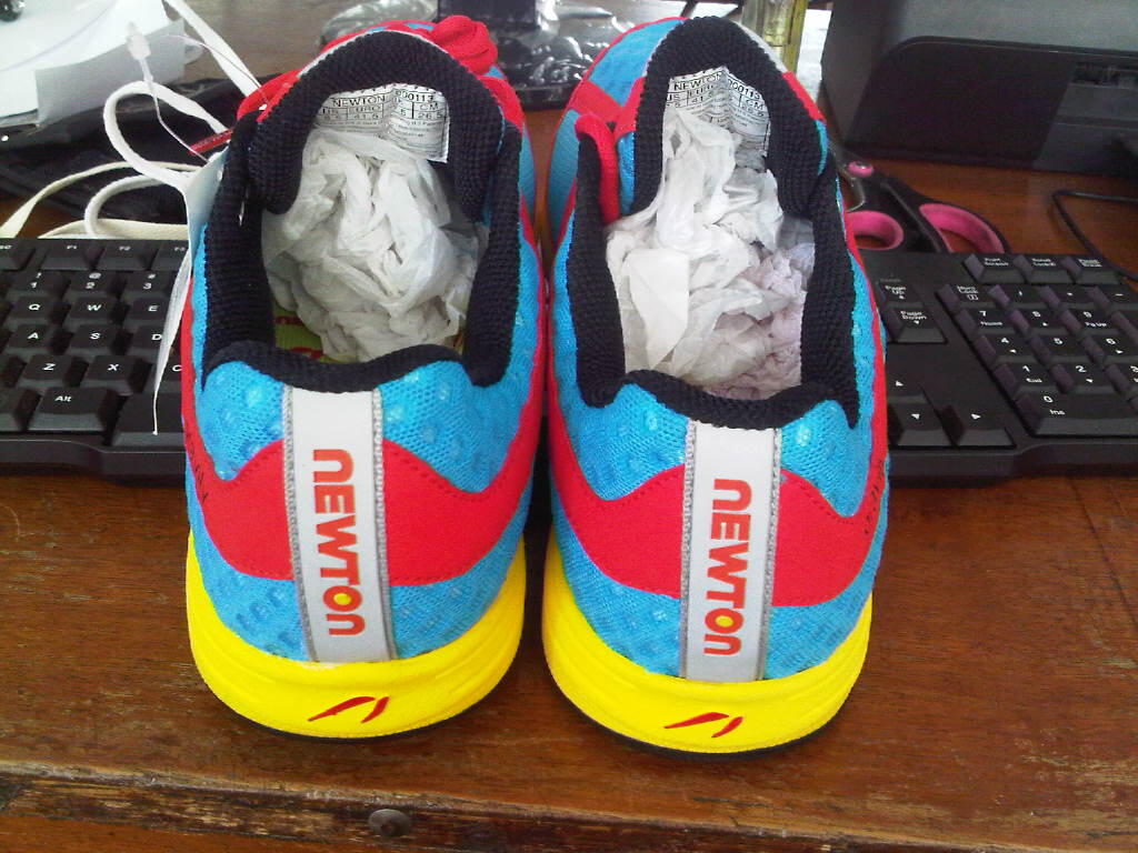 WTS SEPATU MURAH ORIGINAL NEWTON SHOES