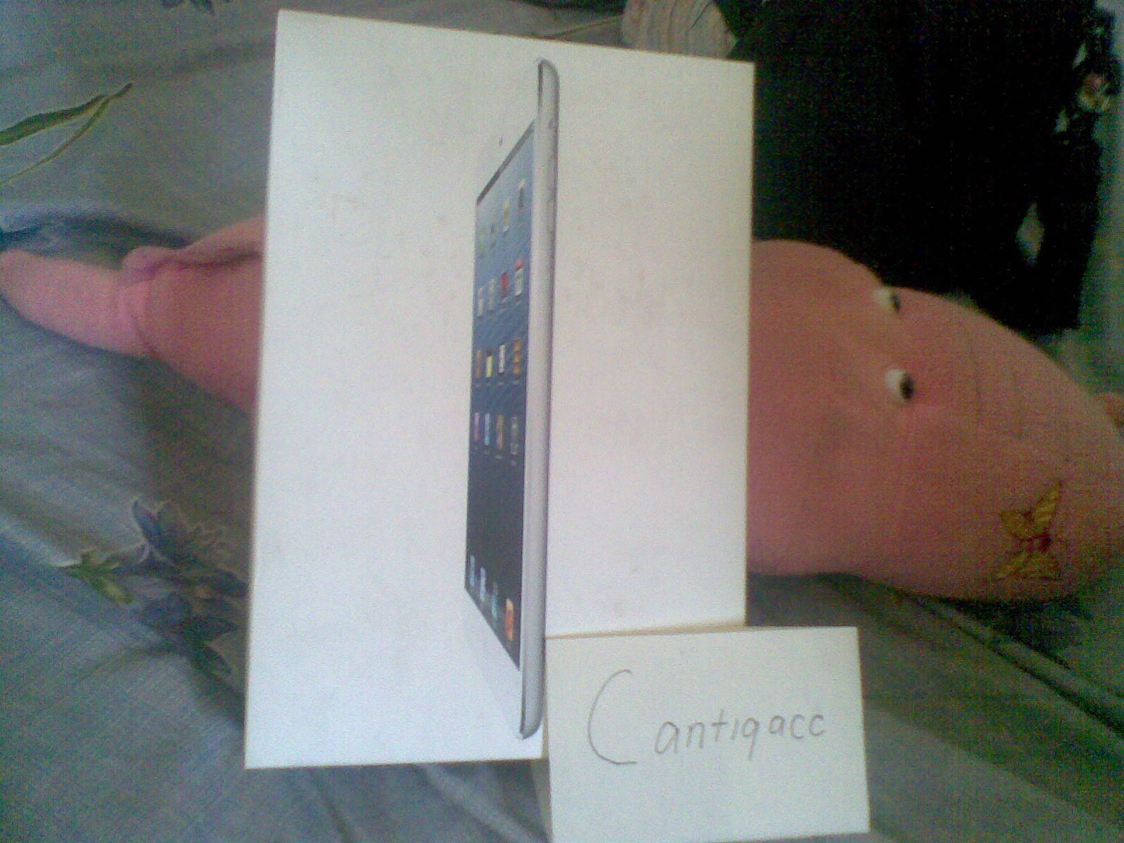 ipad mini 16GB wifi only