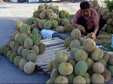 tukang salak..