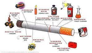 5 Manfaat Rokok Bagi Kesehatan Manusia