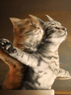 Foto Unik Tentang Titanic