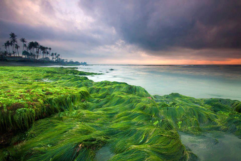 Foto - foto Wow! Indonesiaku tercinta.