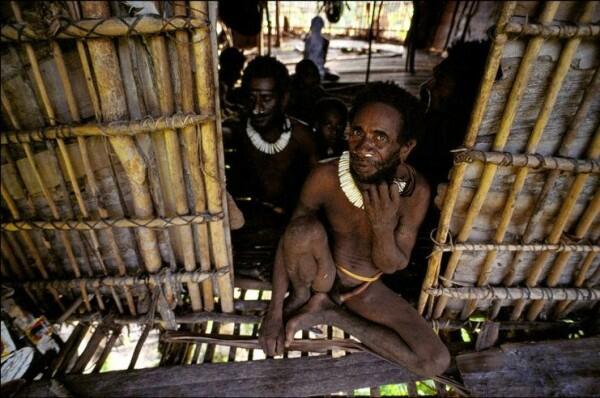 Rumah Pohon Suku Korowai - makin cinta indonesia deh