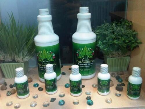 LIQUID CHLOROPHYLL >> JAMINAN ASLI & TERMURAH