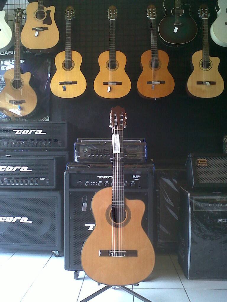 Gitar Classic Electric Ibanez G5ECE