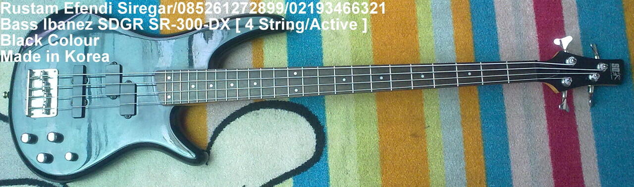 ibanez sdgr 300 bass