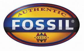 FOSSIL - ORIGINAL