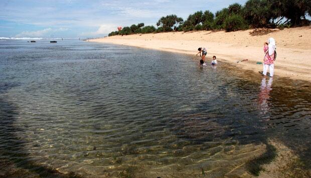 Garut! Menikmati Keindahan Garut di Laut Pesisir Selatan