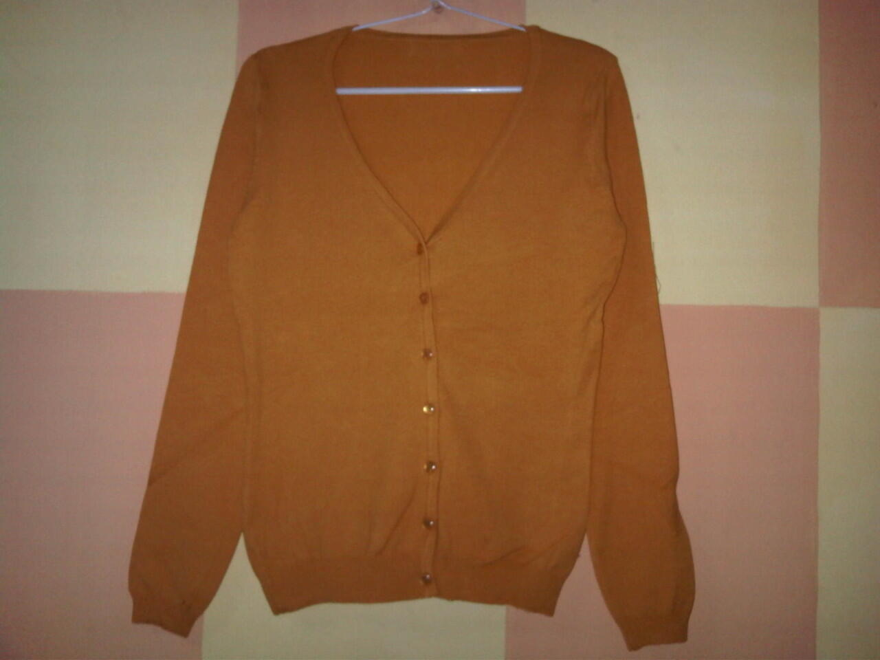 CARDIGAN CLASSIC IMPORT LENGAN PJG (V)