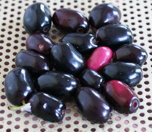 7 Buah Nostalgia yang Mulai Terlupakan