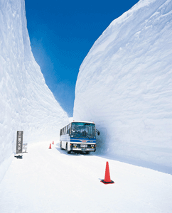 Rute Gunung Salju yang Terbelah di Jepang....