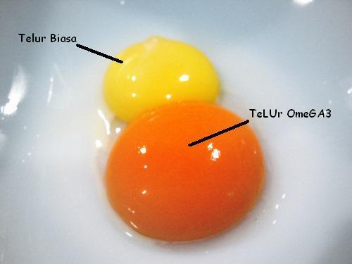 Cara memilih telur yang baik