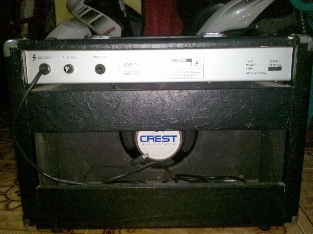 Ampli Silver Crest SCM 30
