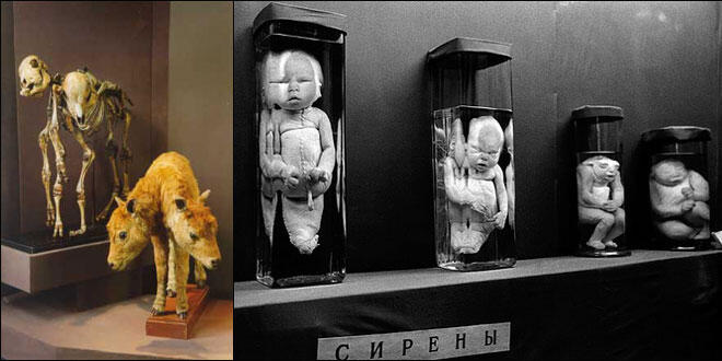 10 Museum Paling Aneh Di Dunia