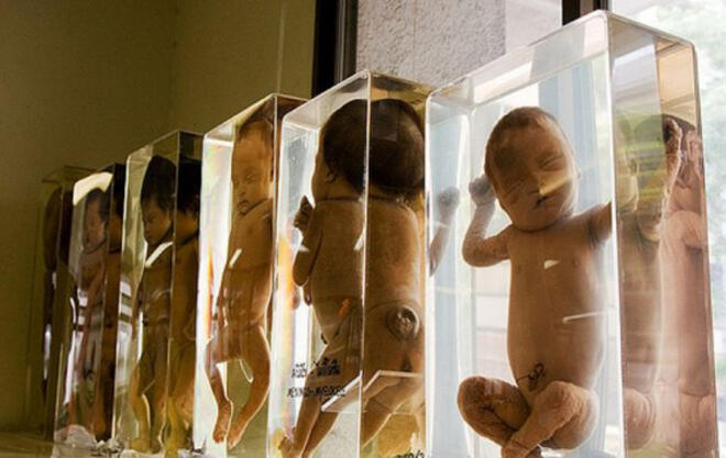 10 Museum Paling Aneh Di Dunia