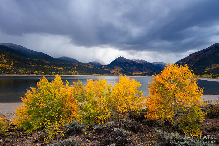 (Full pict) Landscape Taman di Amerika 