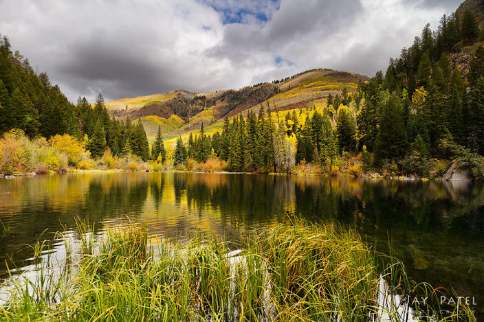 (Full pict) Landscape Taman di Amerika 