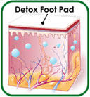 Cara Kerja Koyo Kaki atau Detox Foot Pads