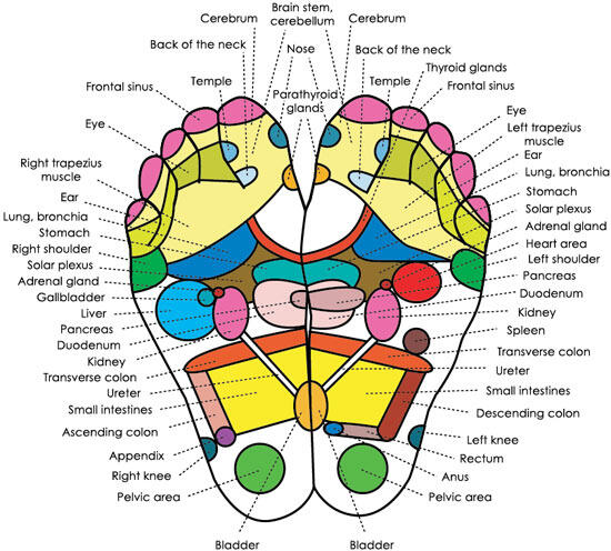 Cara Kerja Koyo Kaki atau Detox Foot Pads