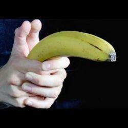 10 Fakta Unik Tentang Pisang