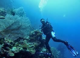 Mengenal Wisata Pulau Papua