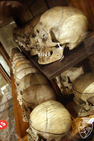 Lombroso Museum,Tempat Ratusan Mayat Pelaku Kriminal Abad ke-18 diawetkan