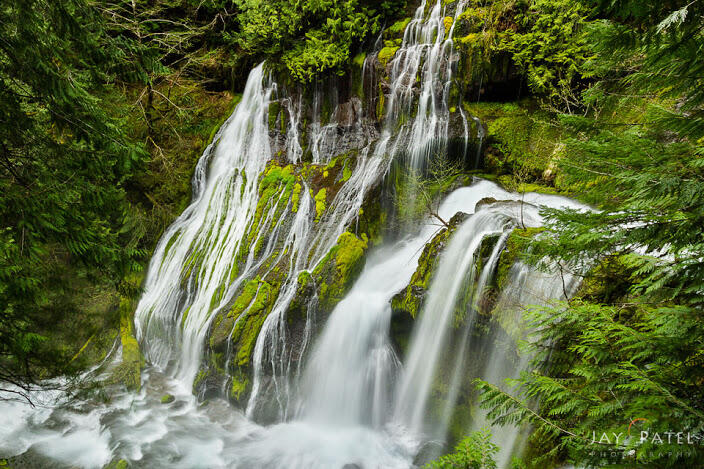 (Full pict) Landscape Taman di Amerika 