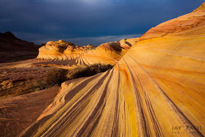 (Full pict) Landscape Taman di Amerika 