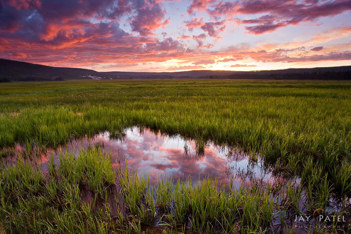 (Full pict) Landscape Taman di Amerika 