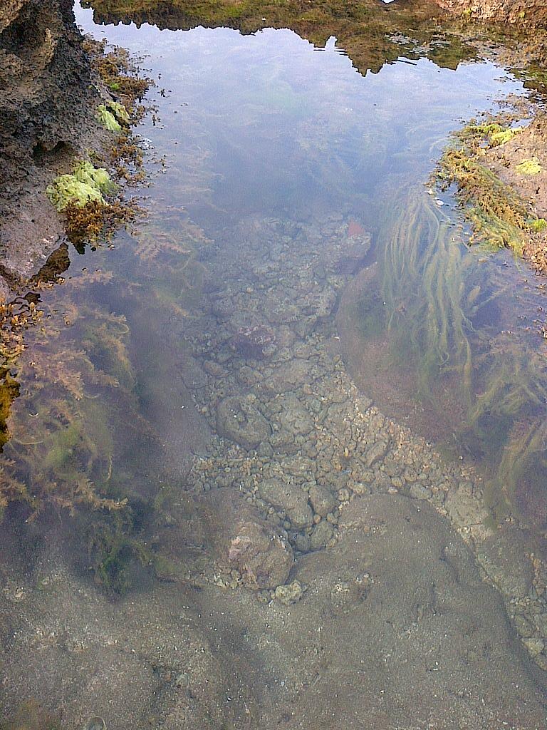 berburu ikan hias di pantai Sayang Heulang Garut (lone traveller touring)