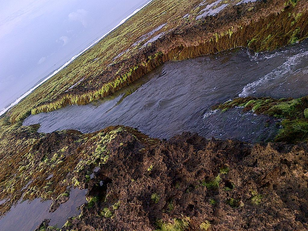 berburu ikan hias di pantai Sayang Heulang Garut (lone traveller touring)