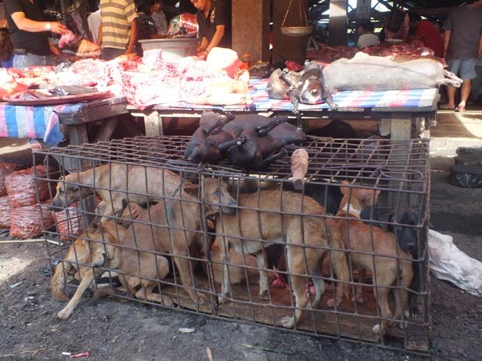 Ngeri Gan!! Pasar Ekstrem di Sulawesi Utara. Wohow!! &#91;PIC&#93;