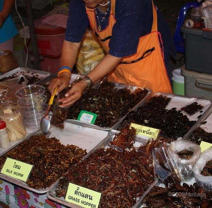 Hasil bengong pagi hari di atas kolam ikan mas....