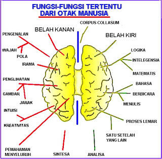 Orang pintar banyak, tapi orang kreatif ??? (CARA MELATIH OTAK KANAN)