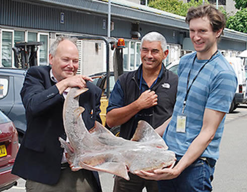 5 Binatang Dengan Bentuk Paling Menakutkan di Dunia