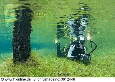 keindahan taman bawah air Green Lake Tragoess, Austria ( fenomena alam )