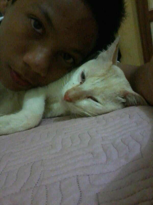 &#91;SHARE&#93; foto2 imut hewan peliharaan agan