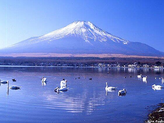  Wisata  ke Gunung  Fuji  KASKUS