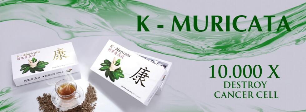 MLM Bintang Sejagat... review ke 6 by liputanmlm.com